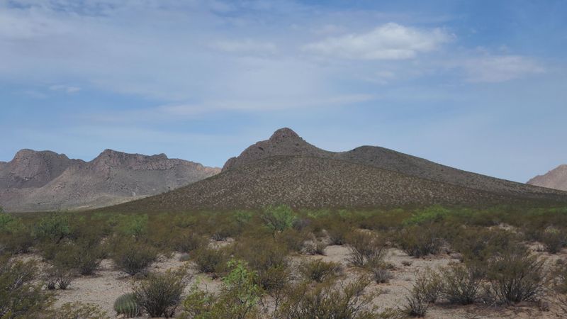 Chihuahuan Desert, New Mexico