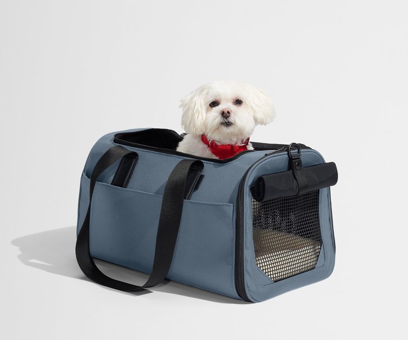 Away Airline-Approved Pet Carrier
