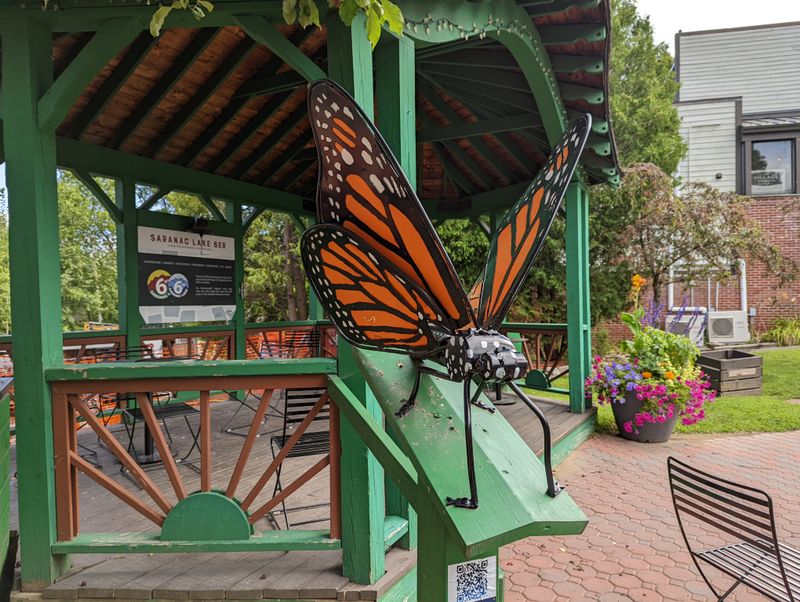 Adirondack Carousel