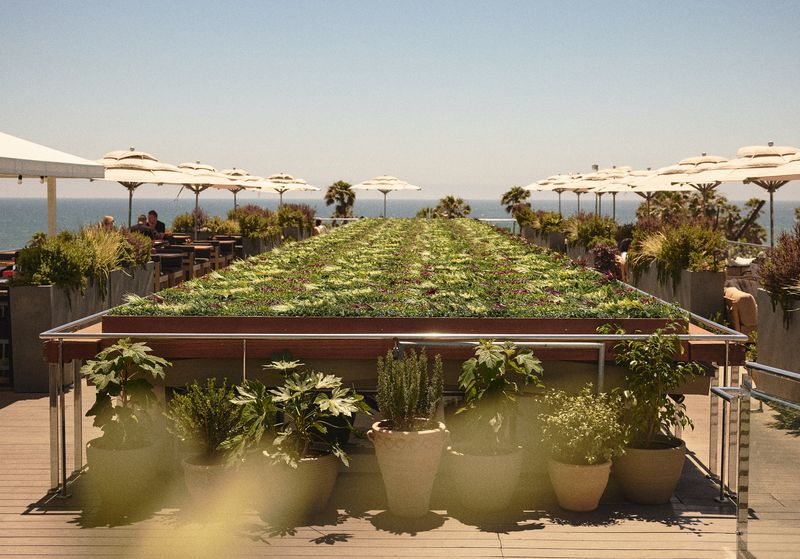 High Rooftop Lounge – Venice (Hotel Erwin)