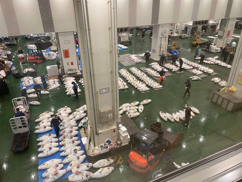 Tokyo, Japan — Toyosu & Tsukiji Markets