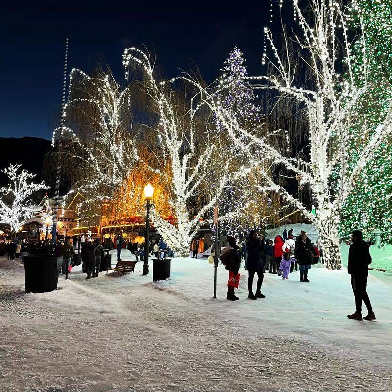 Festivals: Maifest to Christmas Lighting