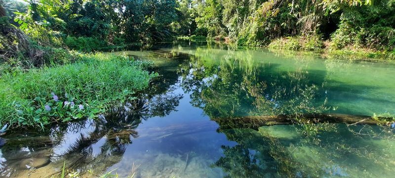 New Britain Island, Papua New Guinea