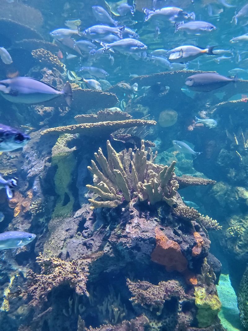 Point Lobster Company