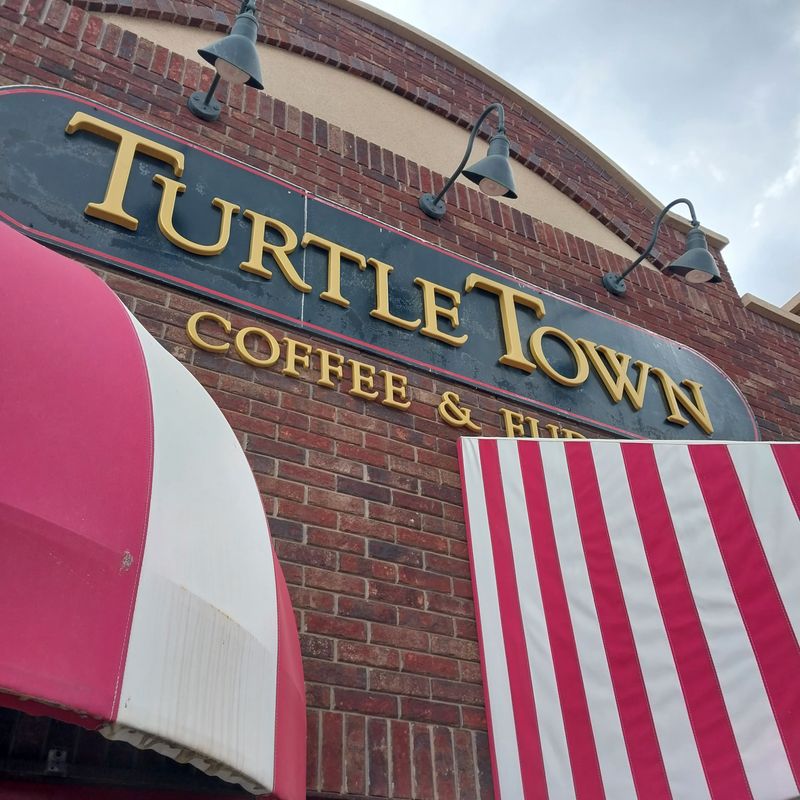 TurtleTown – Hill City