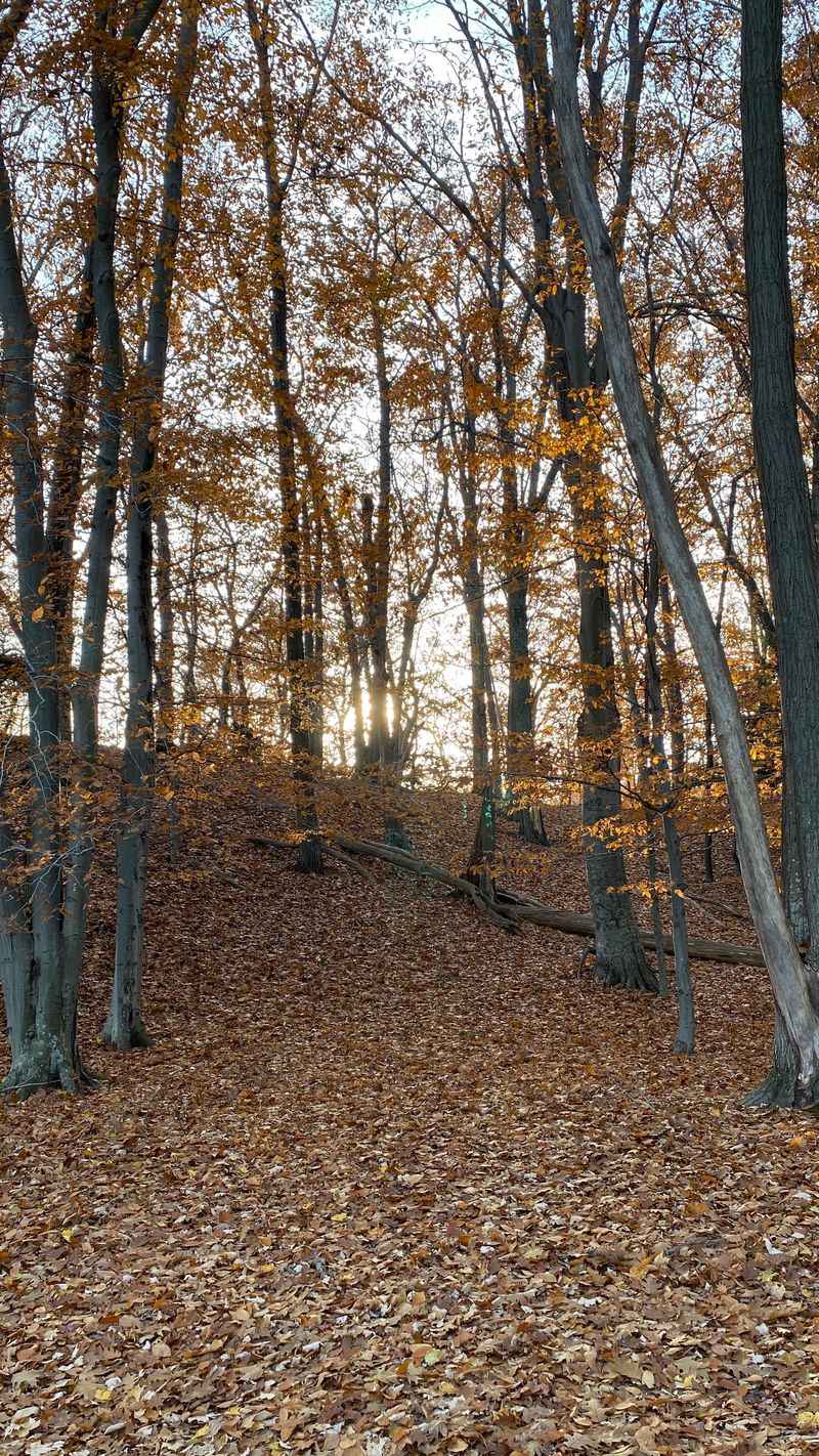 Wildlife and Birdwatching