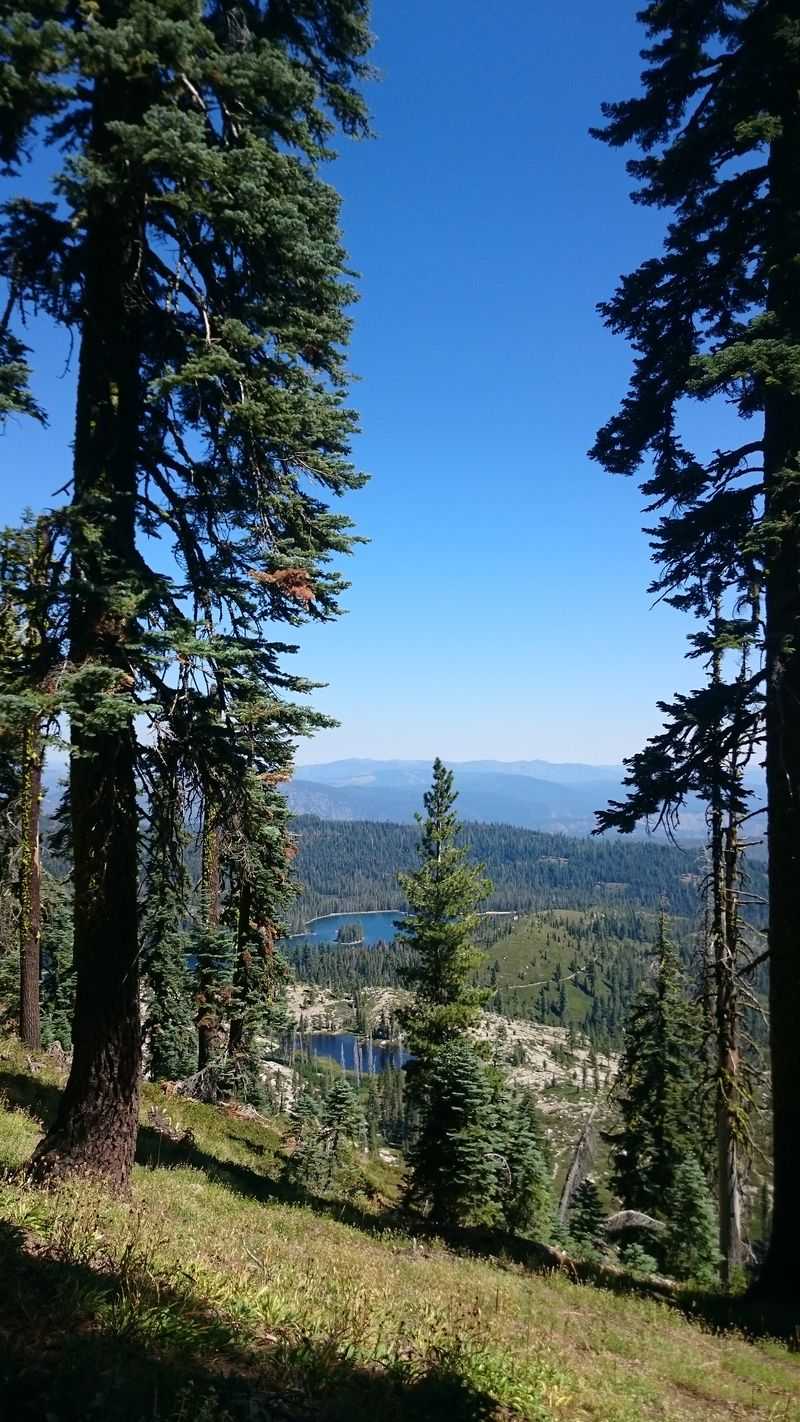 Camp Five Lookout Views