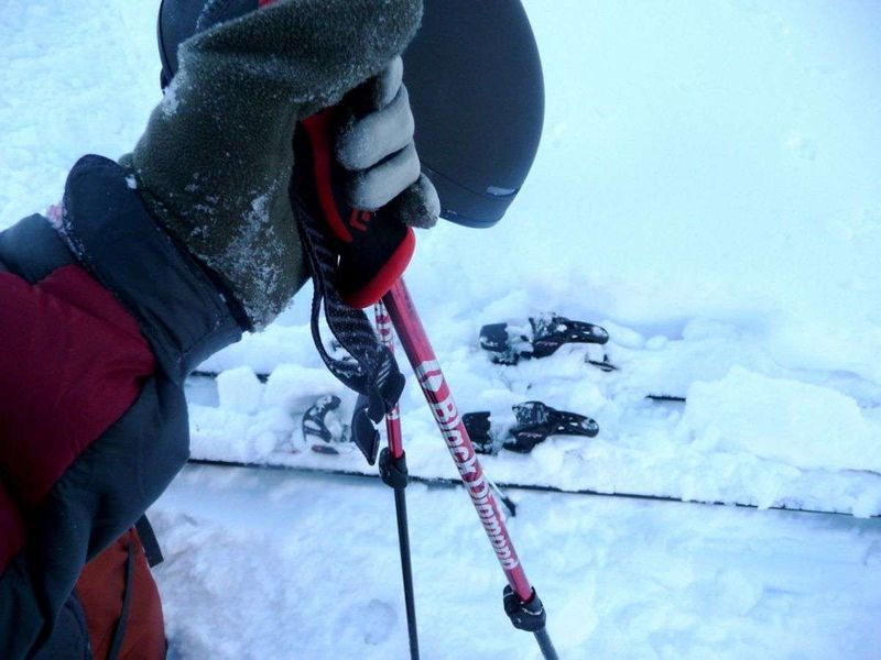 Black Diamond Carbon FL Trekking Poles