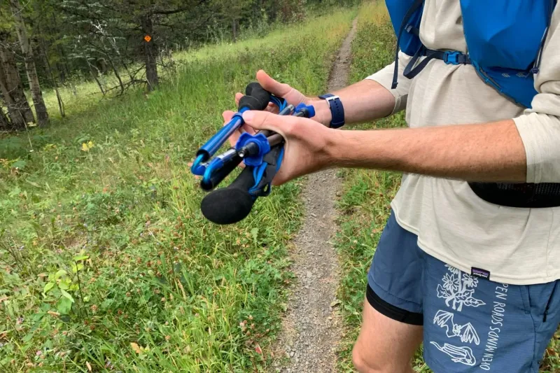 Black Diamond Distance Z Trekking Poles