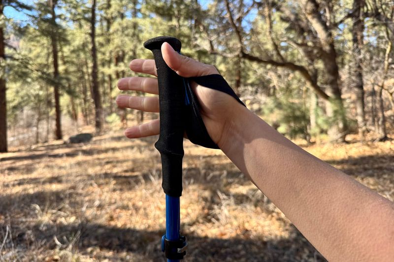 Black Diamond Distance Carbon FLZ Trekking Poles