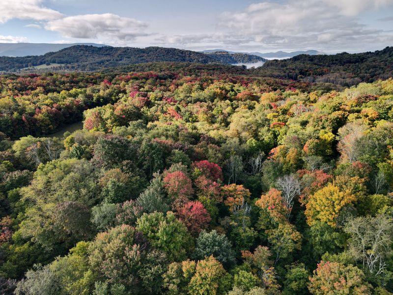 Four Seasons Of High Plateau Magic