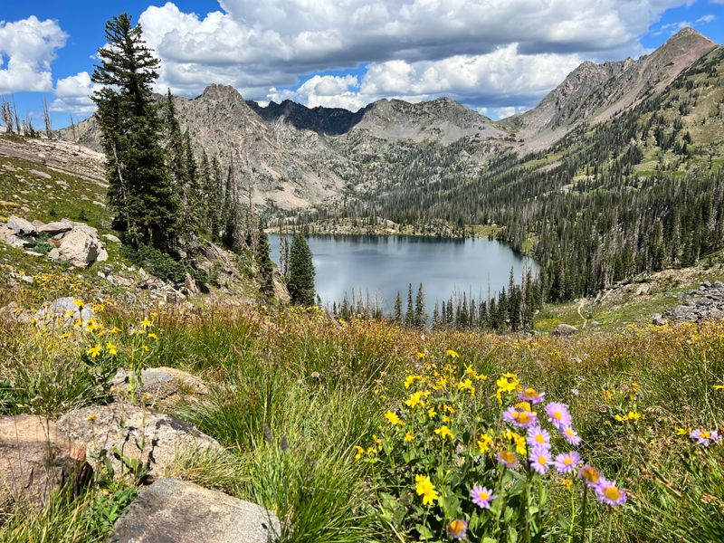 Zirkel Circle Trail (Zirkel Wilderness / Steamboat Springs)