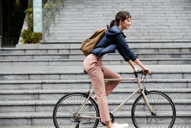 Uniqlo Smart Ankle Pants