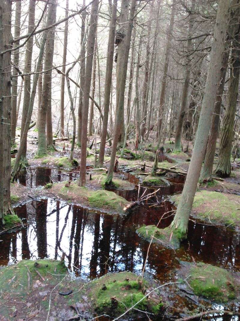 Feel Like You’ve Entered Another World