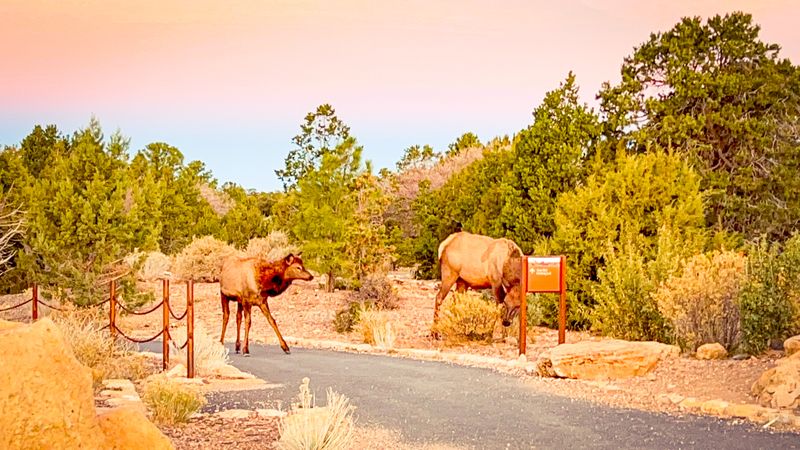 Where To Sit For Quiet