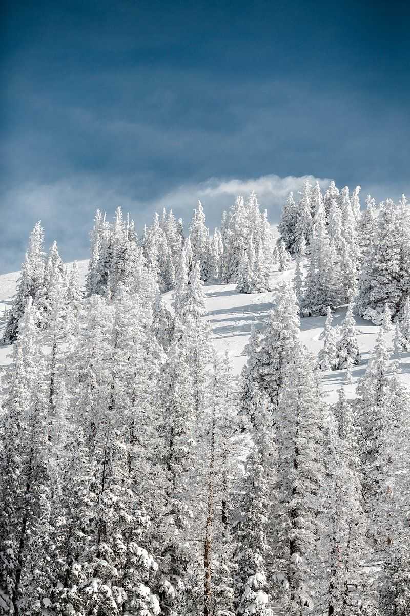 Colorado Mountain Ranges Could See Up to 20 Inches of Snow