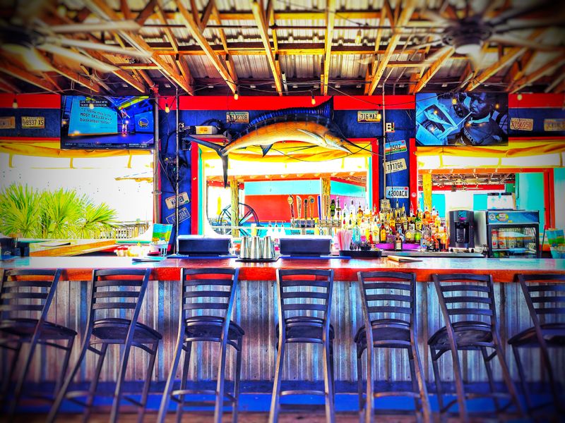 Why You Will Come Back