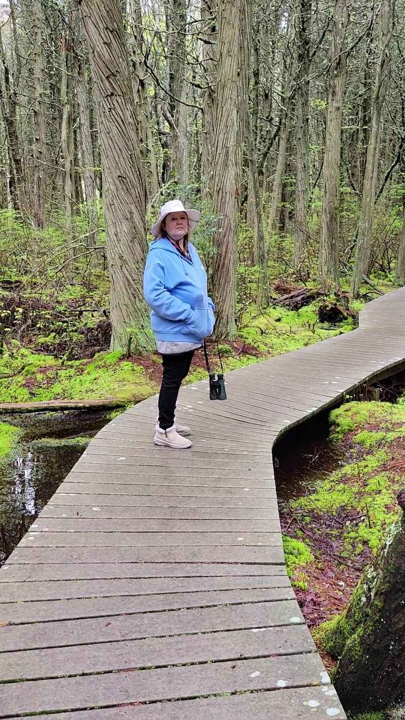 Family-Friendly Adventure