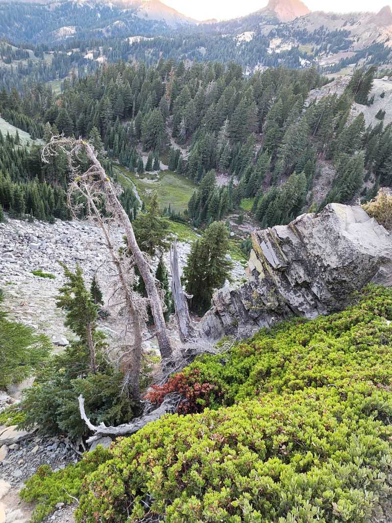 Walking the 1915 Devastation Zone