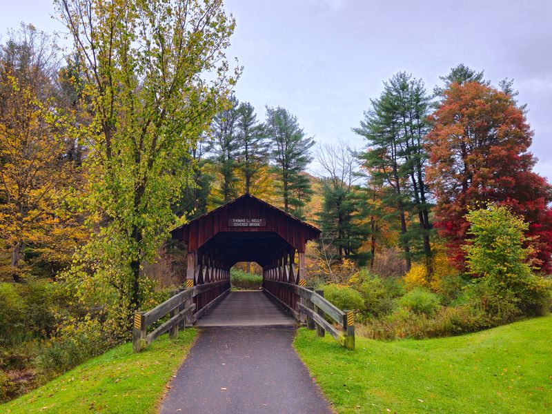 Allegany State Park (Cattaraugus County)