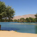 California Has a Stunning Town That Locals Say Is Pure Stress-Free Bliss