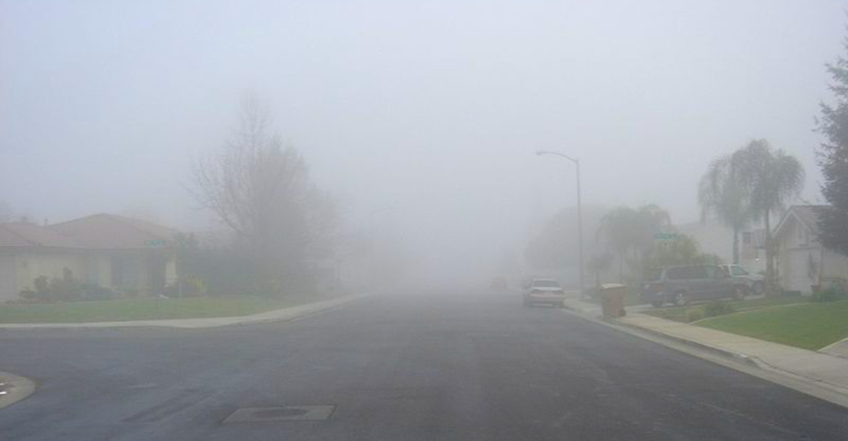 California’s 400-Mile Tule Fog Shutdown: Holistic Fixes for a Crisis Affecting 13 Million People