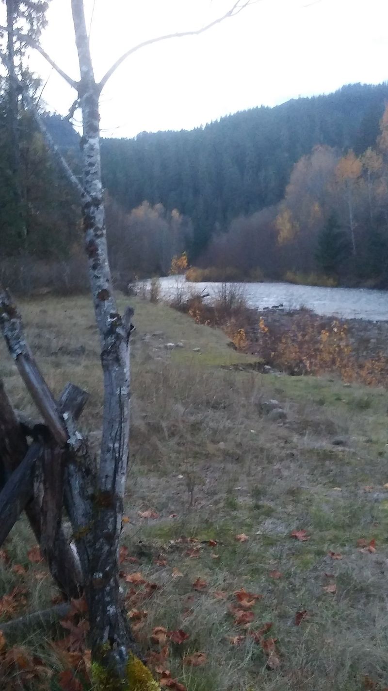 Willamette River Greenway - West Linn Stretch