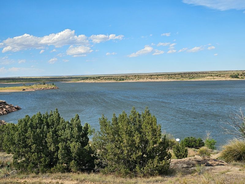 Wind and Weather Smarts