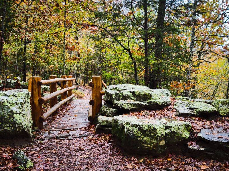 Mountain Biking the Fossil Flats