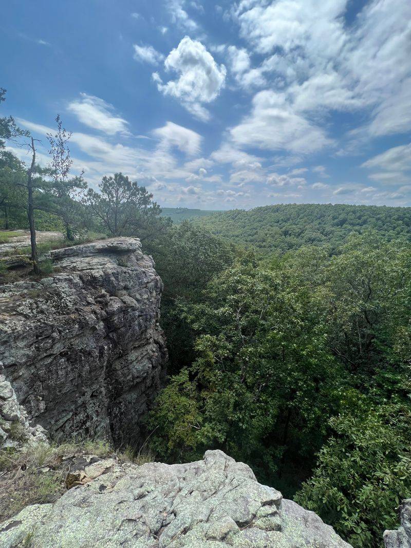 Photography Opportunities