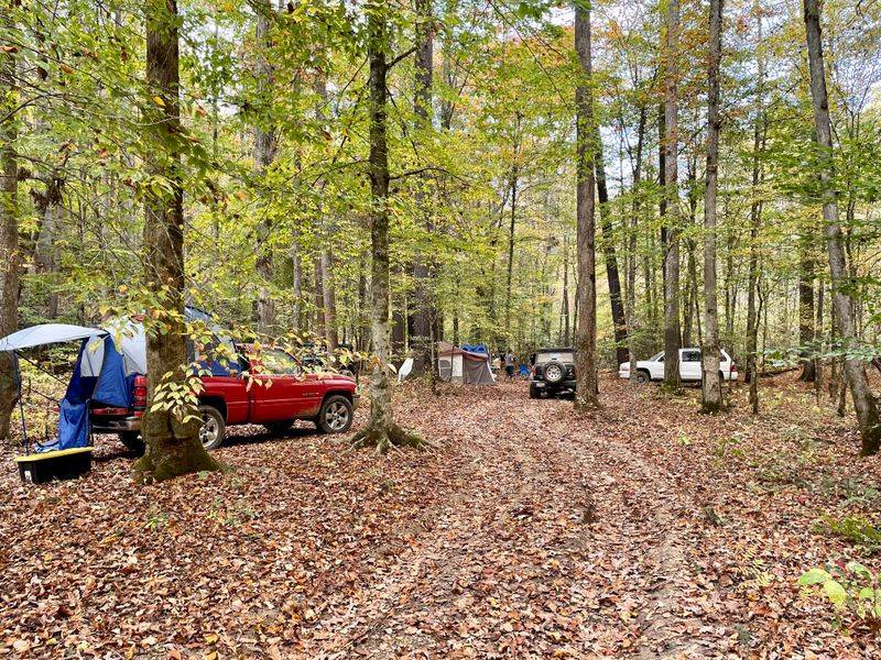 Low Gap Wildflowers Corridor