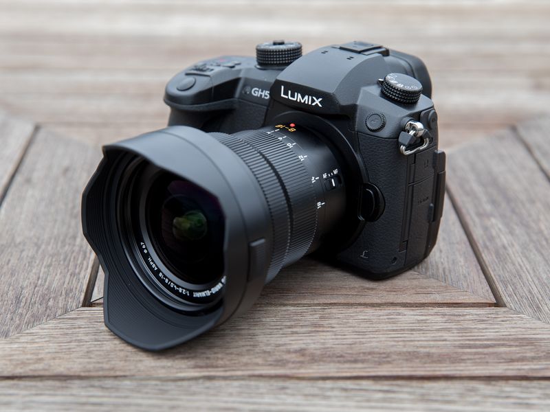 Panasonic Leica DG Vario-Elmarit 8-18mm f/2.8-4.0