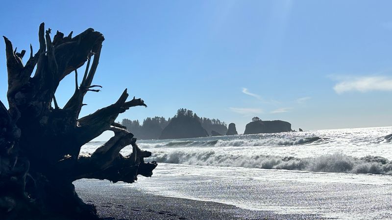 Rialto Beach & Olympic NP Surf Zone (WA)