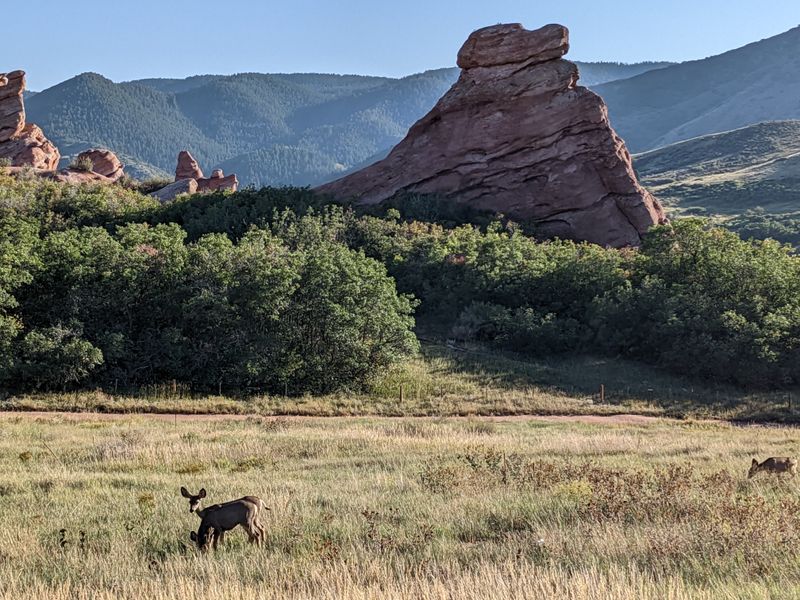 South Valley Park (Ken Caryl / Jefferson County)