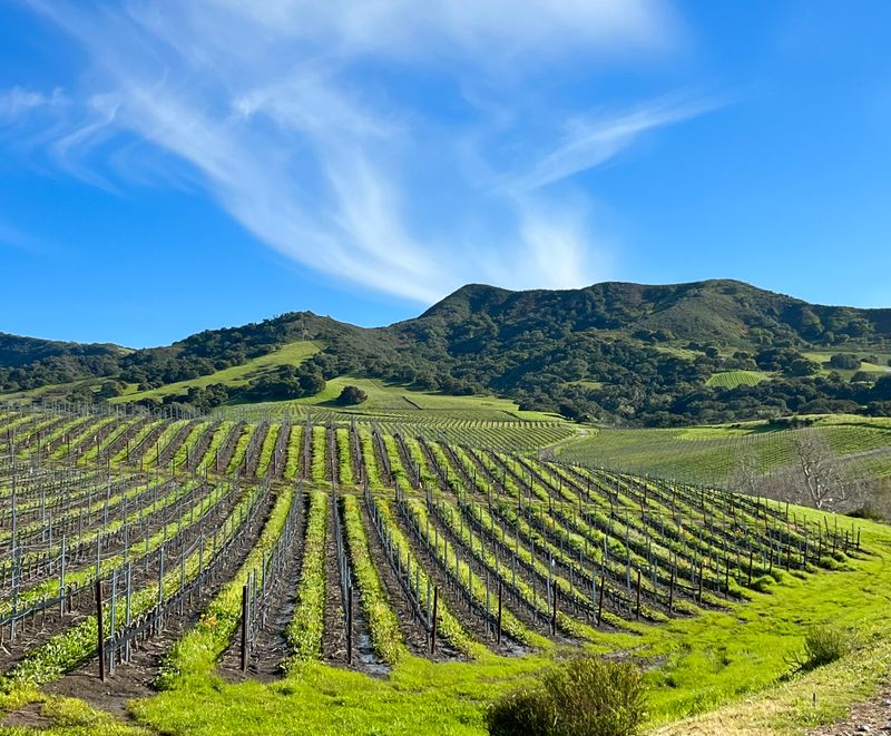 Santa Ynez Valley & Solvang: Wine Country Weekend