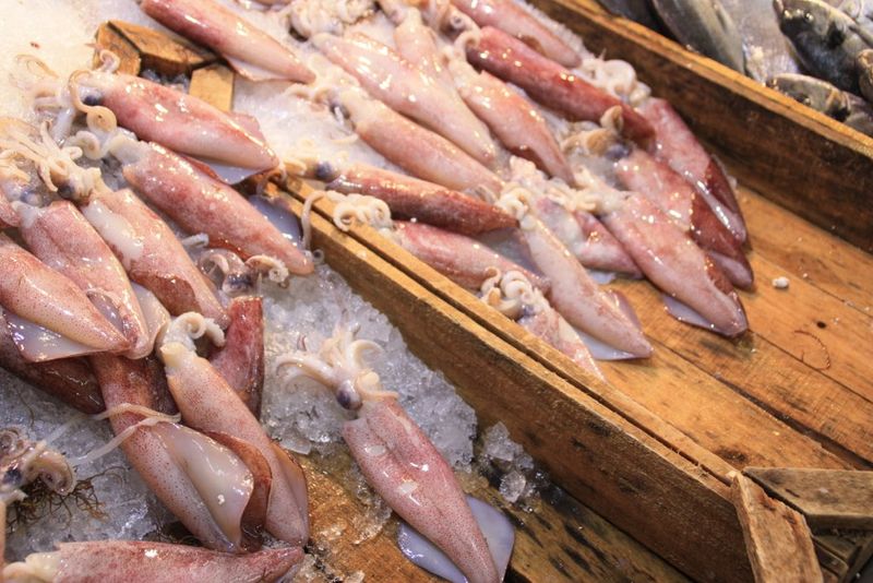 Squid / Calamari (the Rubbery Reputation)