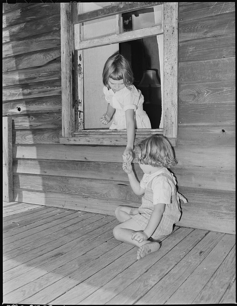 Black Walnut Ice Cream