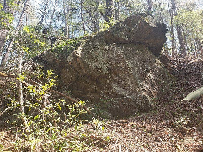 Sumter National Forest