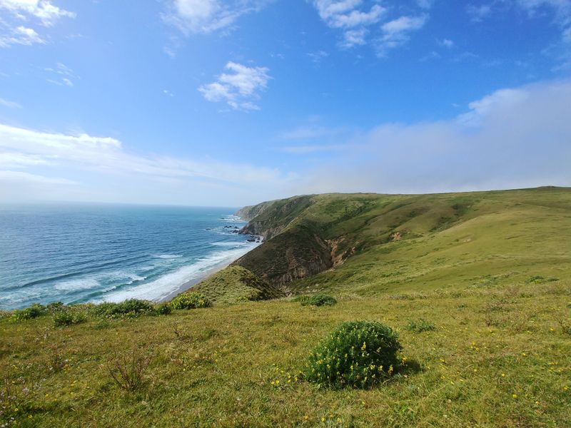 Tomales Point Tule Elk Reserve