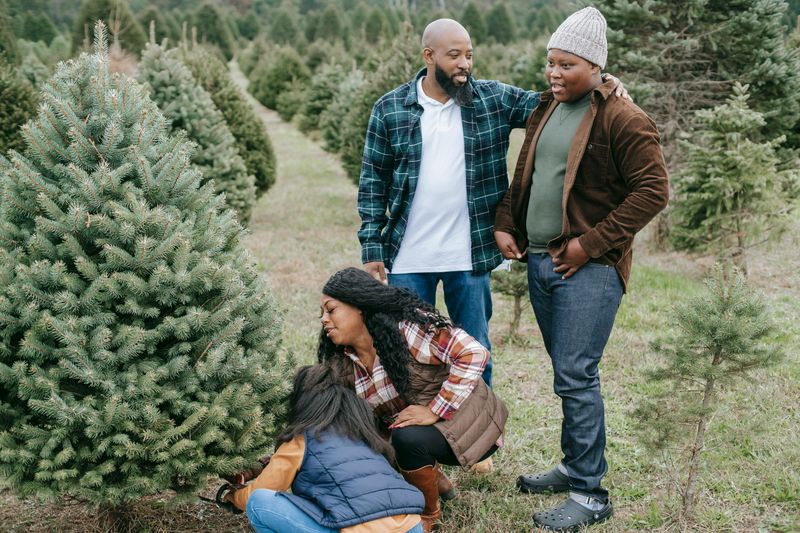 Cutting Down Your Own Christmas Tree