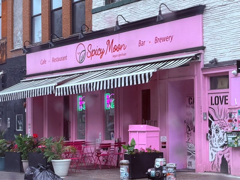 Spicy Moon (Vegan Sichuan, Multiple Manhattan locations)