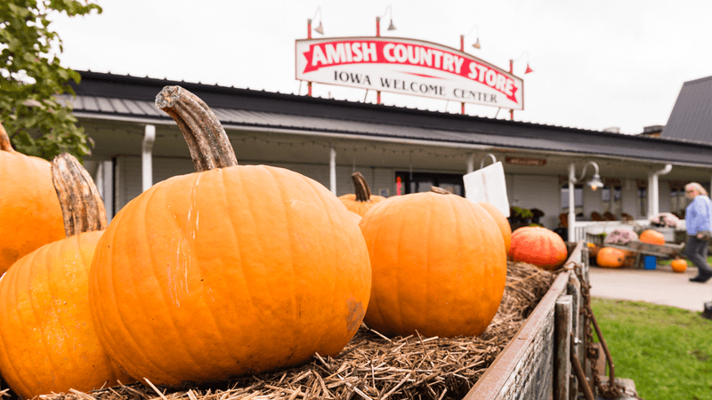 Take-Home Baking Kits