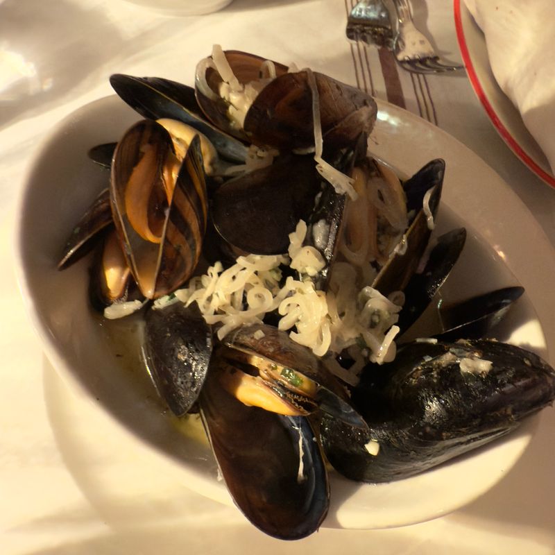 Seafood Towers and Oysters