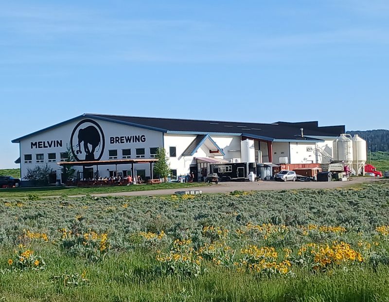 Melvin Brewing – Alpine