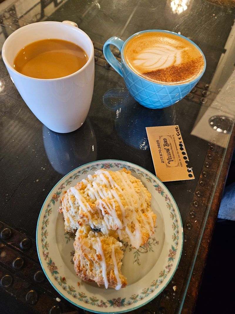Yellow Bird Coffee House - Springfield, IL