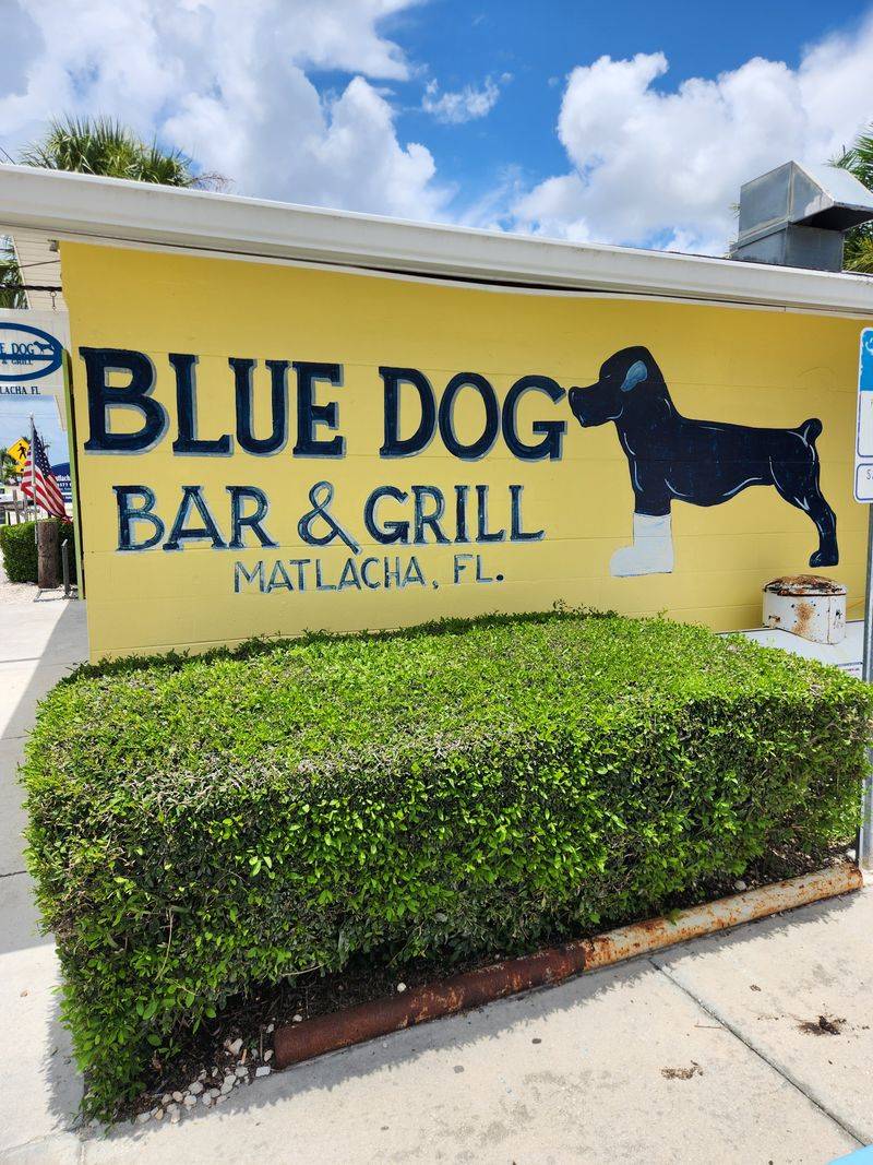 Blue Dog Bar & Grill - Matlacha