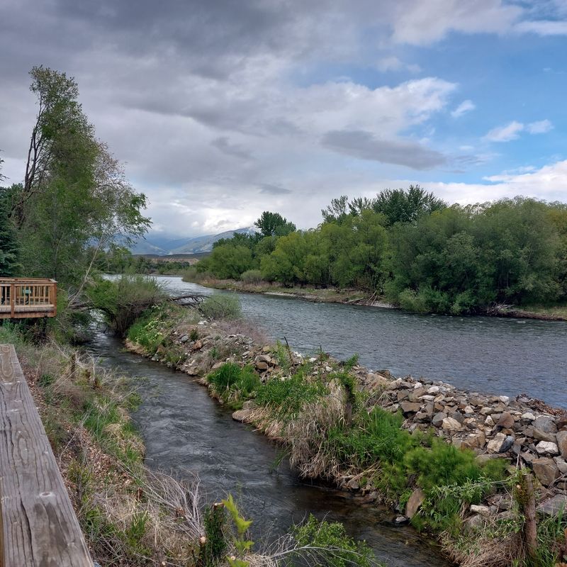 Plan Your Stay in Salmon