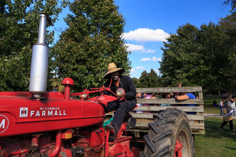 Seasonal Harvest Festivals