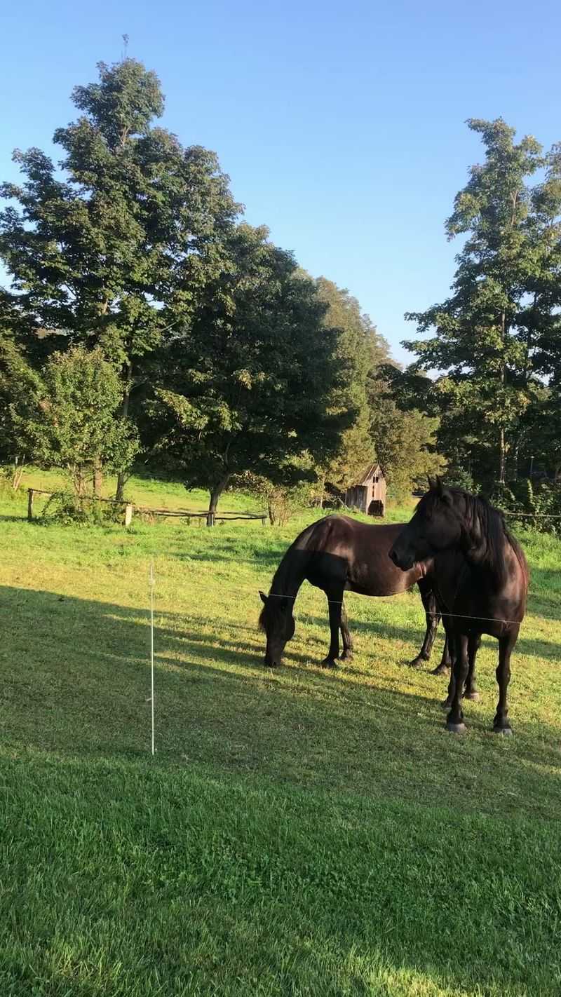 Seasonal Hours and Peaceful Timing