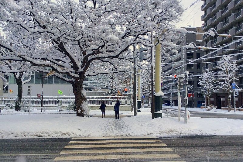 Sapporo, Japan — Snow Festival & Winter Delights